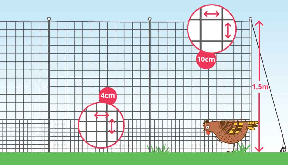 chicken fencing with height and netting measurements  