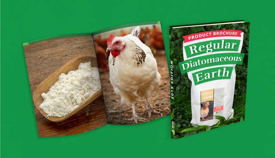 download brochure diatomaceous earth for chickens